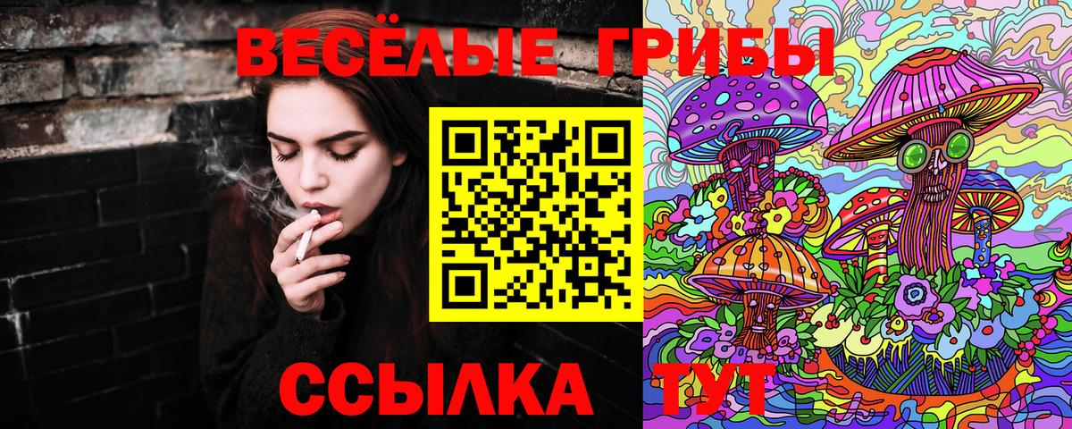 Псилоцибиновые грибы ЛСД  Вход с VPN  Среднеуральск 